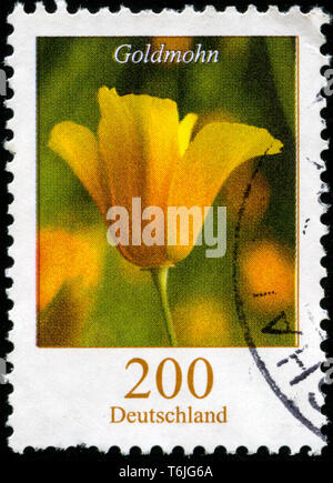 Briefmarke aus der Bundesrepublik Deutschland in den Blumen Serie in 2006. Stockfoto