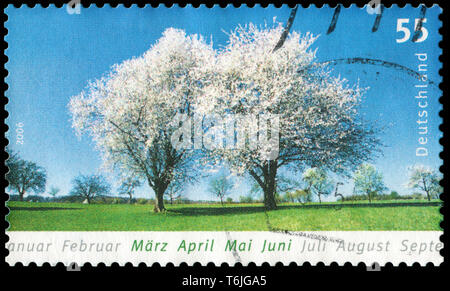 Briefmarke aus der Bundesrepublik Deutschland in den Jahreszeiten Serie in 2006. Stockfoto