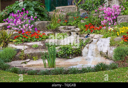 Bunte Blumenbeete in Poole Park, Poole, Dorset Großbritannien im April Stockfoto