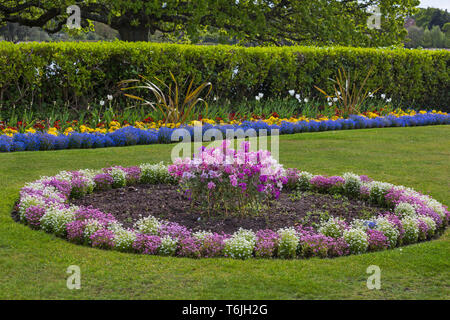 Bunte Blumenbeete in Poole Park, Poole, Dorset Großbritannien im April Stockfoto