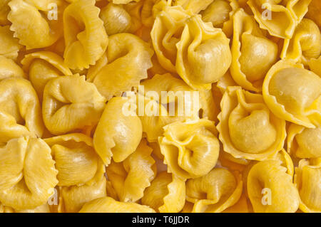 Frische hausgemachte italienische pasta Tortellini Stockfoto