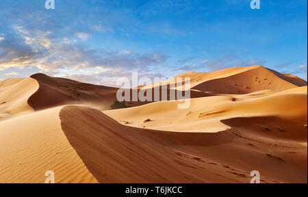 Sahara parabolische Sanddünen des Erg Chebbi, Marokko, Afrika Stockfoto