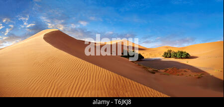 Sahara parabolische Sanddünen des Erg Chebbi, Marokko, Afrika Stockfoto