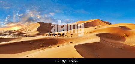 Kamele Fahrten unter der Sahara Sanddünen des Erg Chebbi, Marokko, Afrika Stockfoto