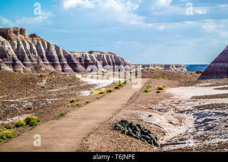 Eine Spur in Petrified Forest National Park, Arizona Stockfoto