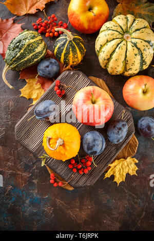 Herbst ernte noch leben Stockfoto