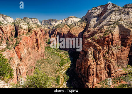 Landschaft im Zion National Park Stockfoto