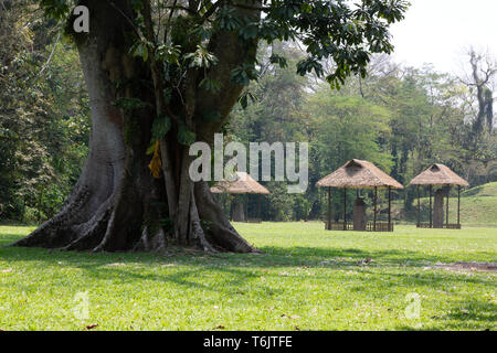 Quirigua, Guatemala - alten Maya archäologische Stätte und UNESCO-Weltkulturerbe, der archäologische Park Quirigua, Guatemala Lateinamerika Stockfoto