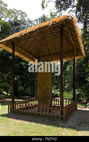 Maya Ruinen - Standing Stone Stele H durch Herrscher Kawak Sky im 8. Jahrhundert AD; UNESCO Weltkulturerbe, Quirigua, Guatemala Mittelamerika errichtet. Stockfoto