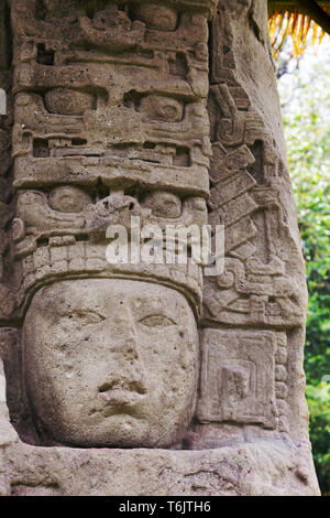 Quirigua, Guatemala, in der Nähe von Stone Carving auf Stele J in 756 AD errichtet von Cauak Himmel, alten Ruinen der Mayas, Quirigua, Guatemala Mittelamerika Stockfoto