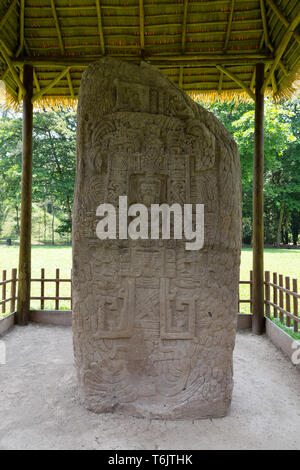 Maya Ruinen - Standing Stone Stele K durch Herrscher Jade Sky im 9. Jahrhundert AD; UNESCO Weltkulturerbe Quirigua, Guatemala Mittelamerika errichtet. Stockfoto