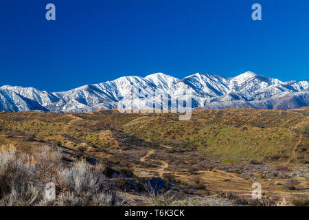 Schnee auf der nördlichen Seite der San Gabriel Mountains in der Angeles nationalen Forset in Südkalifornien Stockfoto