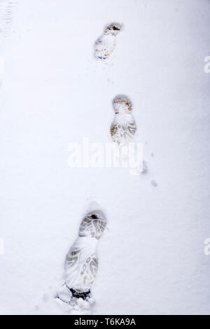 Boot Fußspuren im Schnee Stockfoto