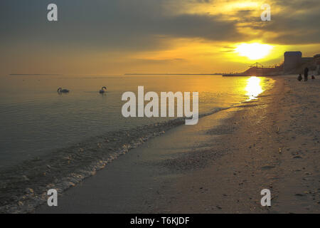 Unglaubliche Landschaft an den Ufern des Schwarzen Meeres mit der untergehenden Sonne leuchtend goldene Farbe und ein Haus auf dem Zenit und Schwäne auf den Wellen. Stockfoto