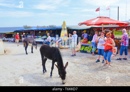 Dipkarpaz, Karpas Halbinsel, Nordzypern - Okt 3 2018: Mehrere ältere Touristen, die Bilder von wilden Eseln mit Telefon. Auf einem traditionellen Markt mit Obst und Souvenirs. Stockfoto