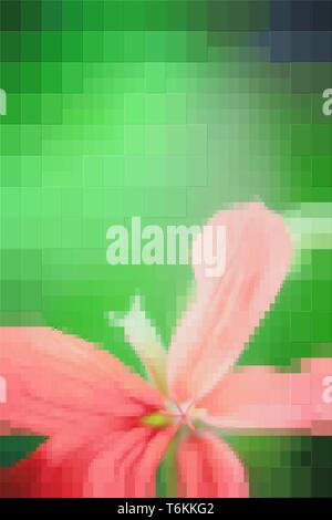 Komposition Blume auf grünem Hintergrund. Weichzeichnen. Die Wirkung von Rechtecken. Stockfoto