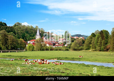 Kühe vor einem kleinen Dorf in der Schweiz. Stockfoto