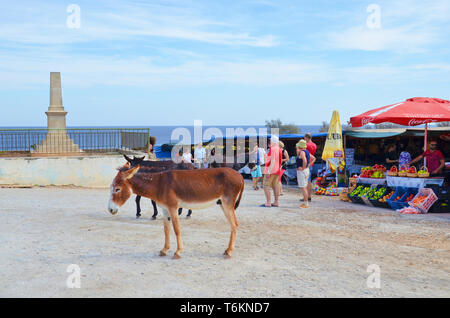 Dipkarpaz, türkischen Nordzypern - Okt 3 2018: Wilde Esel stehend auf die sandige Straße. Obst Markt steht und Touristen zu Fuß durch im Hintergrund. Die Tiere sind lokale Neugier. Stockfoto