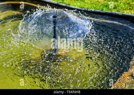 Dekorative Brunnen in kleinen Gartenteich, schöne Spritzwasser Stockfoto