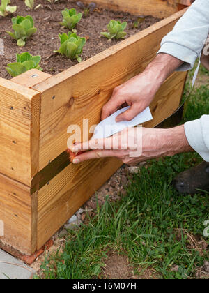 Mann an Kupfer Tape auf den Rahmen, der einen erhöhten Bett Schnecken fernhalten. Stockfoto