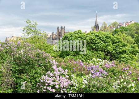 Stadtbild schottischen Edinburgh von der Princes Street Gardens gesehen Stockfoto