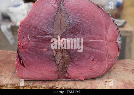 Nahaufnahme der Darm von geschnittenen Thunfisch Stockfoto