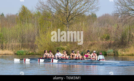 BRABANT - April 7, 2019. Weibliche Ruderer in einem Kanal. Rudern ist eine der ältesten Olympischen Sportarten. Männlichen Ruderer haben seit 1900 Summer Olympics konkurriert. Stockfoto