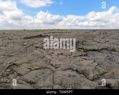 Malerische Aussicht auf einem schwarzen Lava Landschaft mit bewölktem Himmel auf Big Island, Hawaii Stockfoto