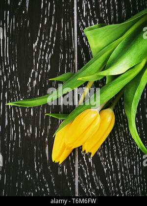 Gelbe Tulpe Blumen Stockfoto