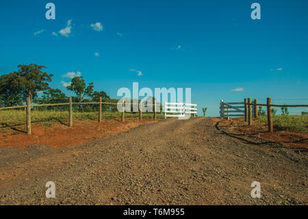 Pardinho, Brasilien - 31. Mai 2018. Holz- Hof und Vieh Guard in der Mitte von Stacheldraht zaun in der Nähe von Pardinho, einem kleinen ländlichen Dorf. Stockfoto