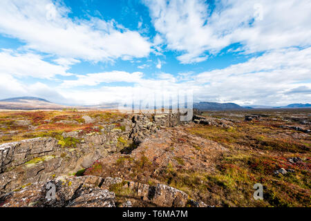 Der Nationalpark Thingvellir Herbst pflanzen während Tag Landschaft auf der oberen Spitze des Canyon Trail in Island Golden Circle Route mit Felsen Stockfoto