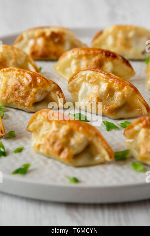 Hausgemachte japanische Gyoza auf einer Platte, Seitenansicht. Nahaufnahme. Stockfoto