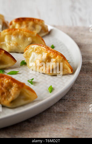 Hausgemachte gyoza auf einer Platte, Seitenansicht. Nahaufnahme. Stockfoto