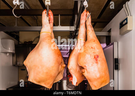 Matera, Italien - 11. März 2019: Schweinefleisch Schinken in einem Trockner aufgehängt. Stockfoto