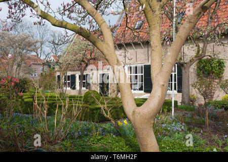 Dutch House mit dekorativer Garten mit blühenden Magnolia Stockfoto