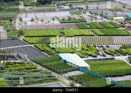 Luftaufnahme Plantagen in der Nähe von Kies Fluss Torrento Mazzarra auf Sizilien Stockfoto