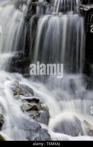 Vasaristi Cascade in Lahemaa Stockfoto