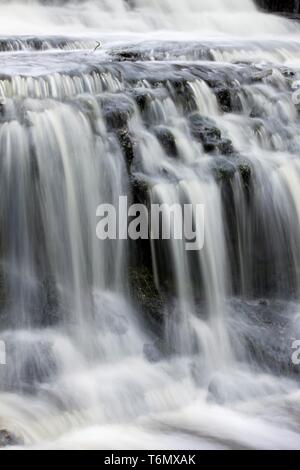 Vasaristi Cascade in Lahemaa Stockfoto