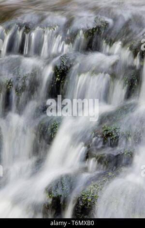 Vasaristi Cascade in Lahemaa Stockfoto