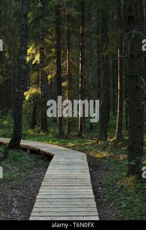 Meteoritenkrater in Ilumets, PÃµlva county Stockfoto