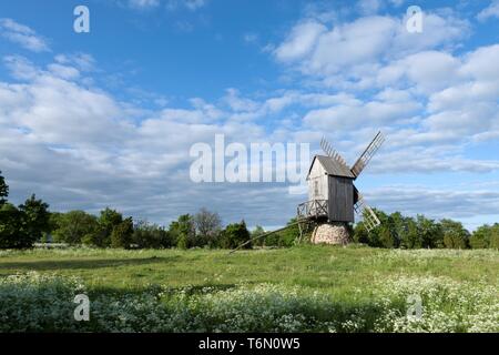 Andruse Windmühle im Dorf, Insel Muhu Koguva Stockfoto