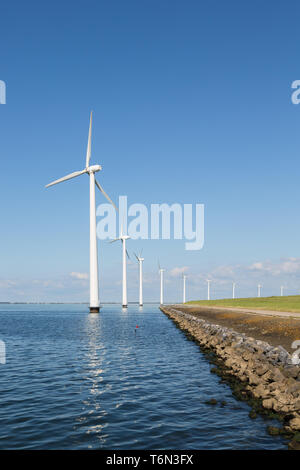 Lange Reihe offshore Windkraftanlagen in der niederländischen Meer Stockfoto