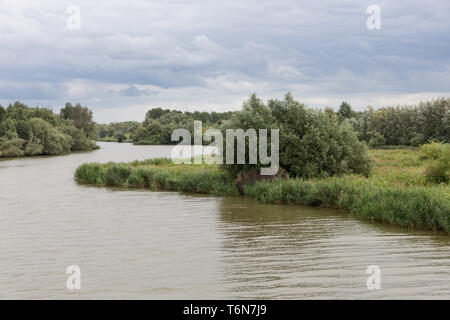 Sumpf der Nationalpark De Biesbosch in den Niederlanden Stockfoto