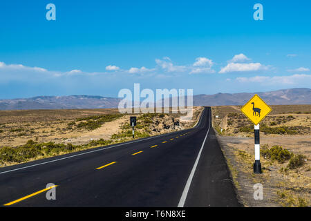 Llama Crossing Road Sign in Peru, Südamerika Stockfoto