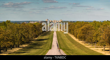 Windsor Great Park - Der lange Weg Stockfoto