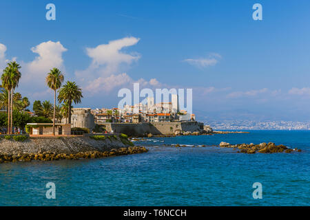 Marine von Antibes in der Provence Frankreich Stockfoto