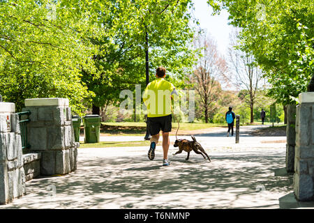 Atlanta, USA - 20. April 2018: Mann laufen Joggen mit Pitbull mutt Hund auf dem Bürgersteig der Stadt urban Piedmont Park im Sommer mit grünen Bäumen, Stockfoto