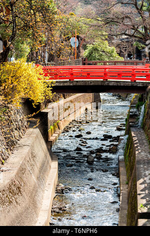 Vertikale Ansicht von kleinen roten Brücke von Enako Fluss in Takayama, Präfektur Gifu in Japan mit Wasser im frühen Frühjahr und gelben Baum Stockfoto