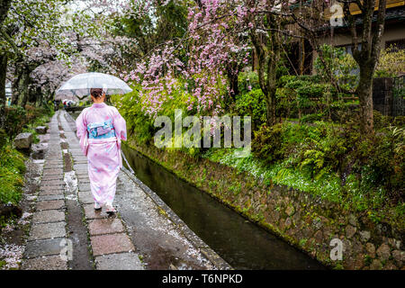 Kyoto, Japan - 10 April, 2019: Cherry Blossom sakura Bäume im Frühling mit blühenden Blumen, die in der Garten Park des Philosophen von Fluss und Frau in Kim Stockfoto