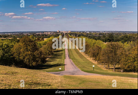 Windsor Great Park - Der lange Weg Stockfoto